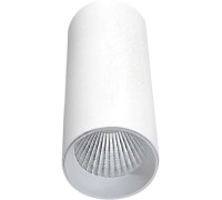 Точечный светильник Rollo DL18895R15W1W Donolux