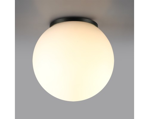 Потолочный светильник уличный Viva 7124/1C Odeon Light