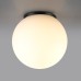 Потолочный светильник уличный Viva 7124/1C Odeon Light