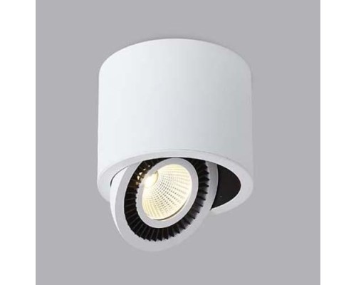 Точечный светильник DL18700 DL18700/11WW-White Dim Donolux