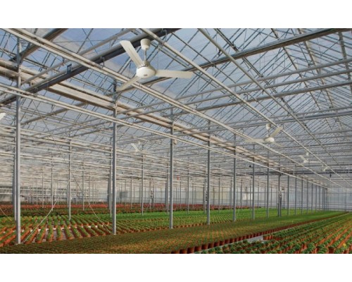 Потолочный вентилятор Nordik International Plus 120/48 61711VRT Vortice