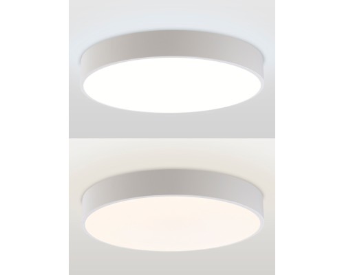 Потолочный светильник Modern LED LAMPS 81105/1C Natali Kovaltseva