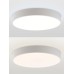 Потолочный светильник Modern LED LAMPS 81105/1C Natali Kovaltseva
