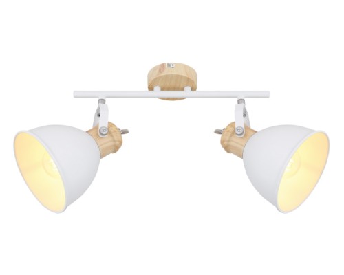 Спот Wiho 54018-2 Globo