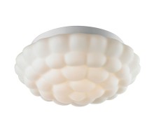 Потолочный светильник Aqua A5130PL-2WH Arte Lamp