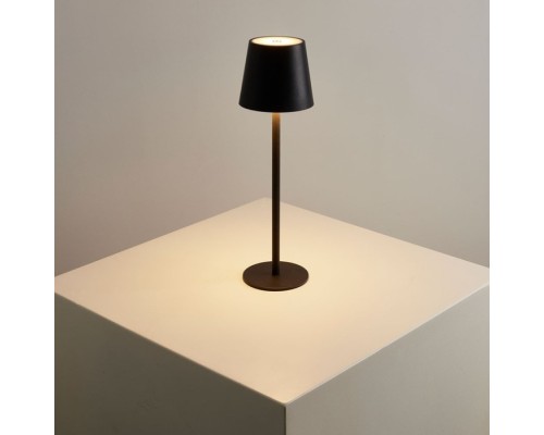 Уличная настольная лампа Fuyue A1614LT-1BK Arte Lamp