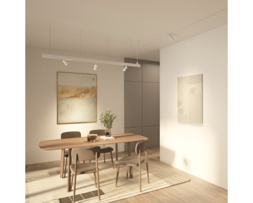 Трековый светильник SIMPLE SPOT DK8110-WH Denkirs