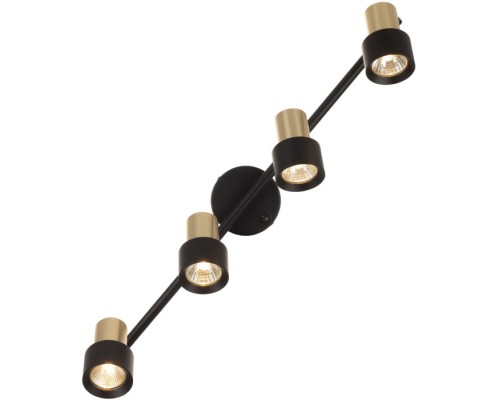 Спот Sat CL505641 Citilux