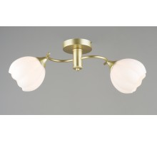 Потолочная люстра SL1N 000066031 Мелодия Света