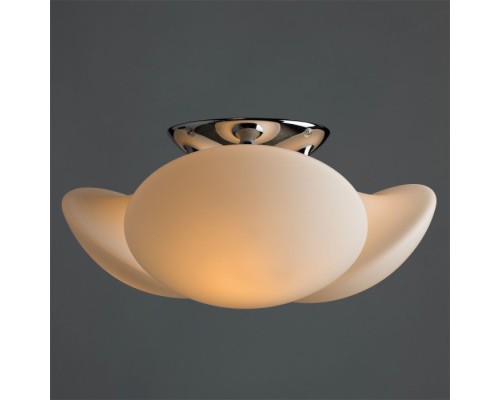 Потолочная люстра Aqua-sfera A2550PL-3CC Arte Lamp