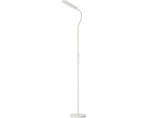 Торшер Alex CL804050 Citilux