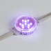 Светодиодный модуль  036825 Arlight