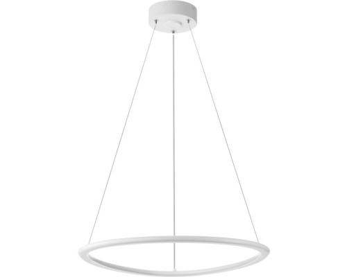 Подвесной светильник Trio CL215B050 Citilux