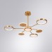 Потолочная люстра Sienna A1363PL-6PB Arte Lamp