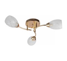 Потолочная люстра Lucy TL7120X-03FG TopLight