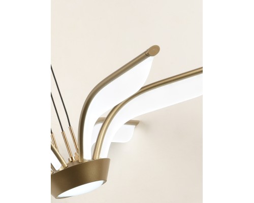 Подвесной светильник Euro HIGH-TECH LED LAMPS 82053 Natali Kovaltseva