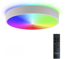 Потолочный светильник Modern LED LAMPS 81105/1C Natali Kovaltseva
