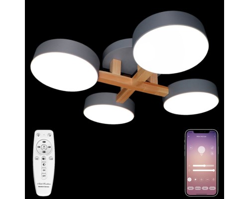 Потолочная люстра LED LED LAMPS 81330 Natali Kovaltseva