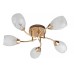 Потолочная люстра Lucy TL7120X-05FG TopLight