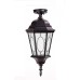 Потолочный светильник уличный ASTORIA 2M 91405MA cover Bl овал Oasis Light