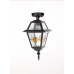 Потолочный светильник уличный FARO lead GLASS 91105A lgY Bl Oasis Light
