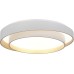 Потолочный светильник Crosby SLE6009-502-01 Evoluce