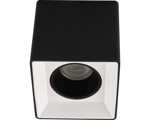 Точечный светильник Rodvig DK3080-BW+BK Denkirs