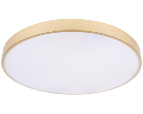 Потолочный светильник Flims 10228/B Loft It