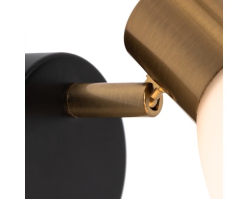 Спот Falena A3117AP-1BK Arte Lamp