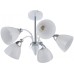 Потолочная люстра Napoli 326008/5 WH+CR Arte Milano