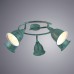 Спот Campana A9557PL-5BG Arte Lamp