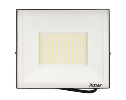 Прожектор уличный PROFI 53410 9 Ritter