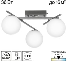 Потолочная люстра Dorsy CL223131 Citilux