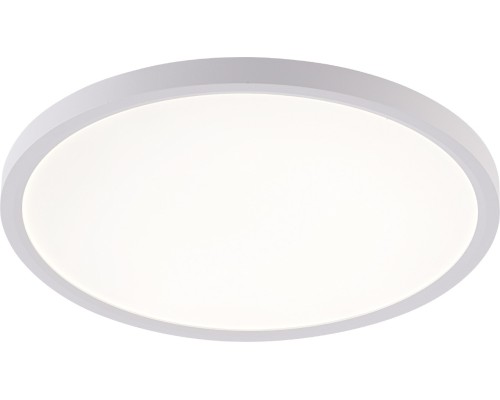 Потолочный светильник Plain LED LAMPS 81113/3C Natali Kovaltseva