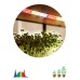 Светодиодная лента  FITO-Strip Light-Rа90-3m ЭРА