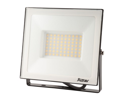 Прожектор уличный PROFI 53418 5 Ritter