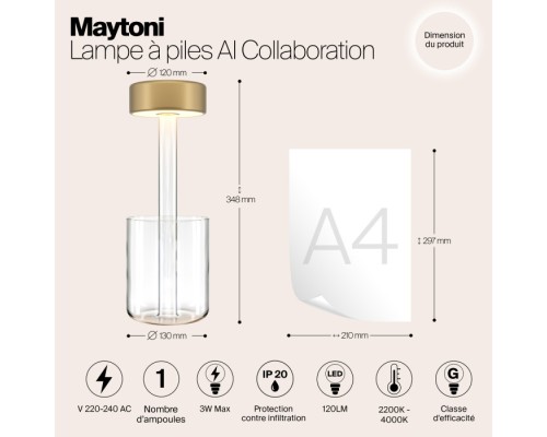 Интерьерная настольная лампа AI Collaboration MOD229TL-L3G3K1 Maytoni