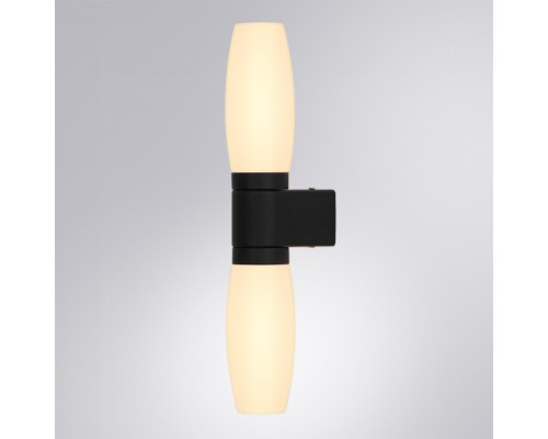 Настенный светильник Aqua-Bastone A1209AP-2BK Arte Lamp