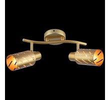 Спот  05970-0.8-02 GOLD Reluce