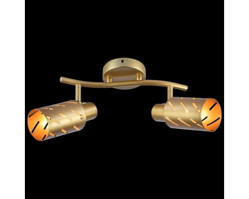 Спот  05970-0.8-02 GOLD Reluce