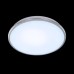 Потолочный светильник Луна CL702301N Citilux