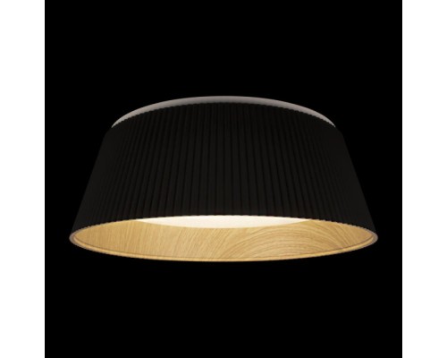 Потолочный светильник Evans 10224 Black Loft It