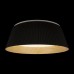 Потолочный светильник Evans 10224 Black Loft It
