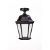 Потолочный светильник уличный ASTORIA 2 91405LA Bl Oasis Light