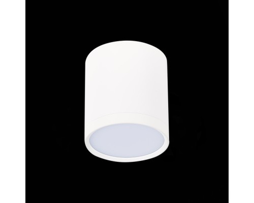 Точечный светильник Rene ST113.542.05 ST Luce