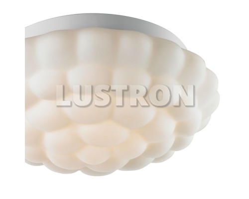 Потолочный светильник Aqua A5130PL-2WH Arte Lamp