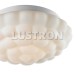 Потолочный светильник Aqua A5130PL-2WH Arte Lamp