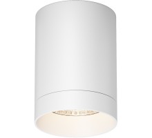 Потолочный светильник уличный Luxe O500CL-L10W3K Maytoni