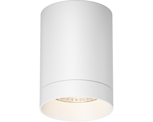 Потолочный светильник уличный Luxe O500CL-L10W3K Maytoni