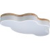 Потолочный светильник Axel 10005/36 White Loft It